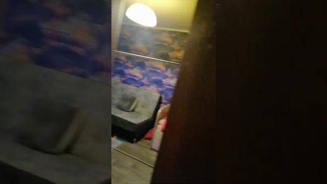 Рубцовск Ленина 64 смотреть онлайн