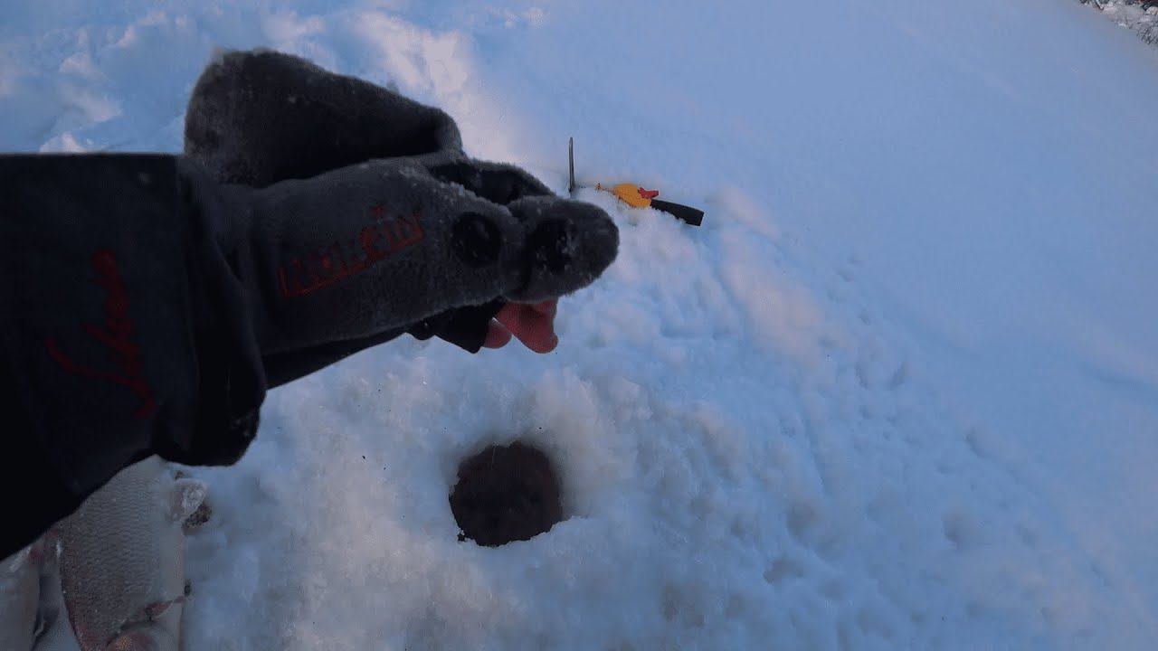 РЕШИЛ ПРОВЕРИТЬ СТАРОЕ МЕСТО И В ПЕРВОЙ ЖЕ ЛУНКЕ СЕЛ КТО ТО ТЯЖЕЛЫЙ И ЛЕСКА ЗАТРЕЩАЛА.ЗИМНЯЯ РЫБАЛКА смотреть онлайн