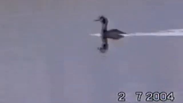 2004_07_02 - Баянаульский р-н, оз.Собандыколь.flv смотреть онлайн