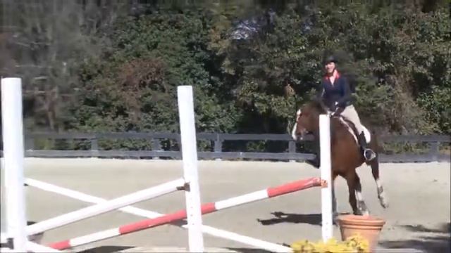 2018 Mike Henaghan Clinic O/F смотреть онлайн