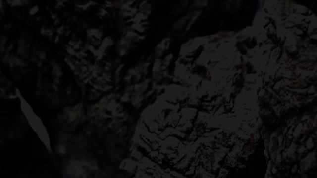 The Forsaken World Aquarium - Chapter II - Genesis смотреть онлайн