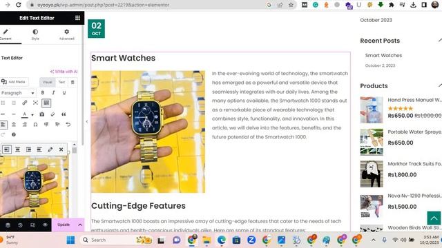 How do developers check orders on the website and how do post a blog and create a landing page? смотреть онлайн