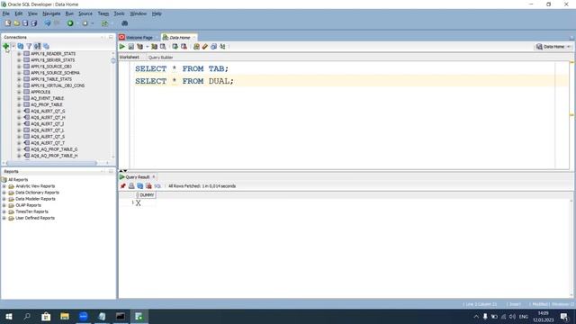 Oracle21c XE, HR user and Sql Developer install on Windows by Data Home смотреть онлайн