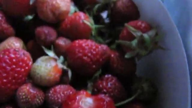 Моя клубника.Фестивальный сорт. смотреть онлайн