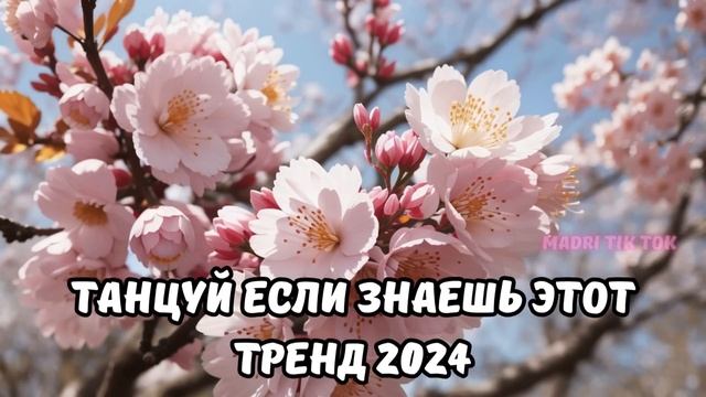 ?ТАНЦУЙ ЕСЛИ ЗНАЕШЬ ЭТОТ ТРЕНД 2024? смотреть онлайн