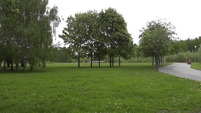 Что делать если муж подал на развод. смотреть онлайн