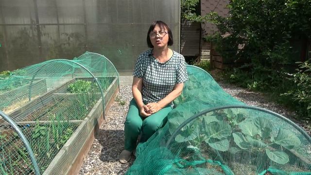 Подкормки капусты. Сравнение двух видов удобрений смотреть онлайн