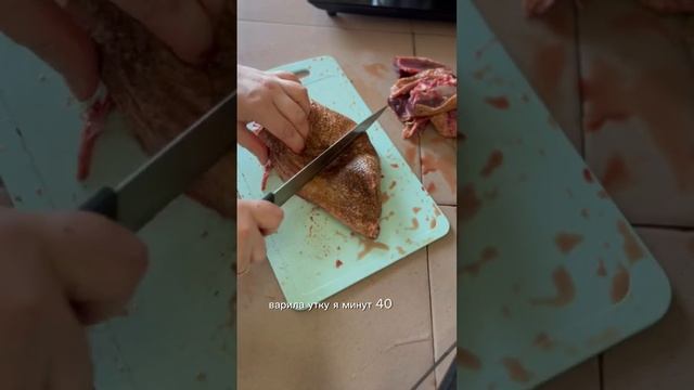 Дикая утка ?на любителя #утка#суп#готовка#рецепт#дичь