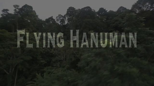 Наше приключение: Flying Hanuman @ Пхукет (Полет Гиббона) смотреть онлайн