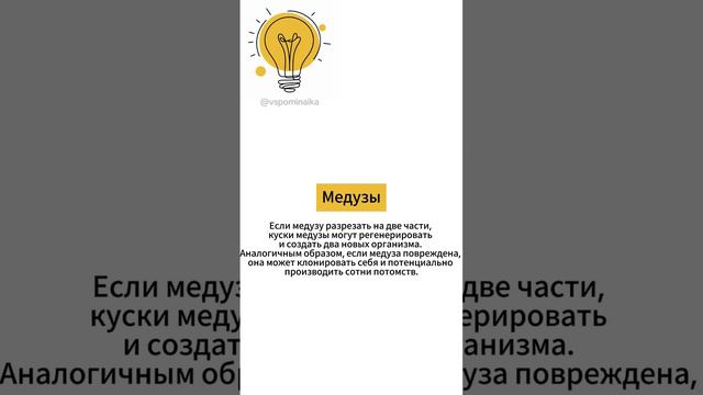 💡 Удалось ли правильно ответить на все вопросы? ✨ Делись в комментариях! #тест #викторина смотреть онлайн