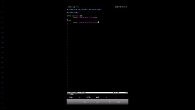 Standard Input Argument Comparison for String Value in Perl Scripting Language смотреть онлайн