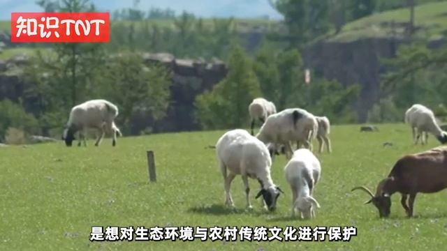 农村“旧坟”限期拆除，全国坟头迎来整改！这究竟是怎么回事？ смотреть онлайн