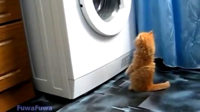 Магическая машина смотреть онлайн