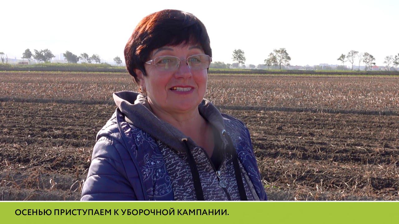 Про страшный сон агронома «Тепличного" Александры Ахмедовой... смотреть онлайн