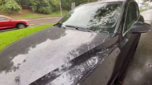 Инста-самка атакует активистов! Ч.1 (Тротуарные войны на Можайке 46)