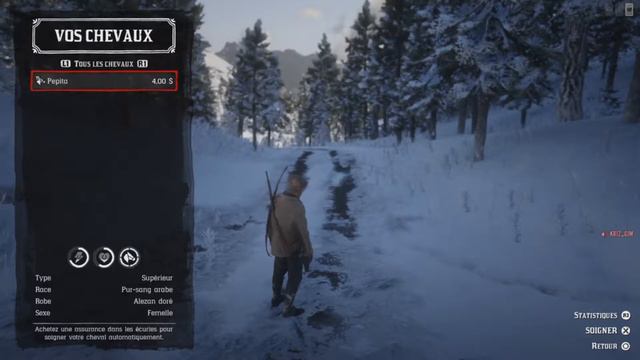APPELER VOTRE CHEVAL AU LIEU DE LA VIEILLE CARNE SUR RED DEAD REDEMPTION 2 смотреть онлайн