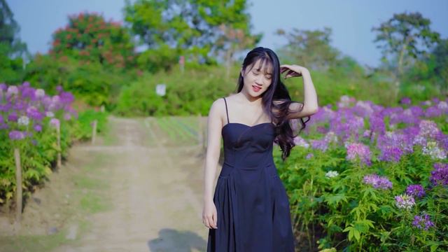 Can't Help Falling In Love Saxophone Mp3 Download 🎷Swing saxophone music 297 смотреть онлайн