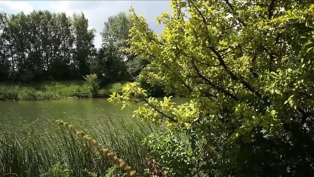 «Нас на горке на крутой». Старинная протяжная алексеевская песня смотреть онлайн