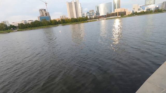 Утренняя рыбалка на спиннинг, окунь атакует. смотреть онлайн