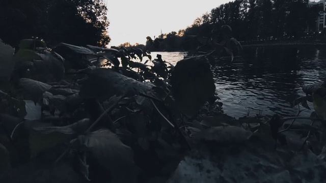 VID 20230928 190043 На разлуку с ней (Фрэнсис Дейвисон)...Павел Васильев Лахтинский смотреть онлайн