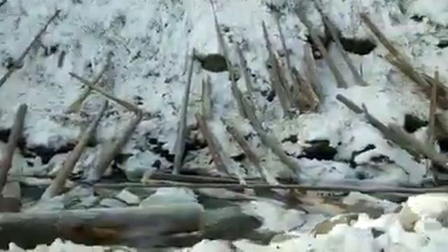 Вырубка в ущелье Алтын-Арашан 2023_1 смотреть онлайн