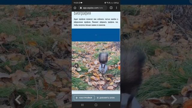 Как создать мультиссылку. Хиполинк? Таплинк? Акулас!! смотреть онлайн