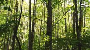 Весёлые ребята - "Как прекрасен этот мир"