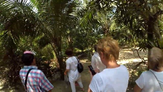 Тайланд - Джунгли, Черепахи, Слоны смотреть онлайн