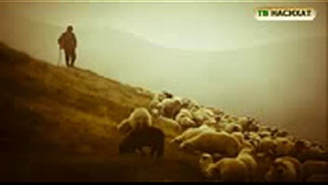 7 марта 2016 г.(67)