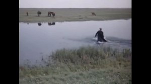 НУ ЧТО Ж ТЫ СТРАШНАЯ ТАКАЯ???!!!