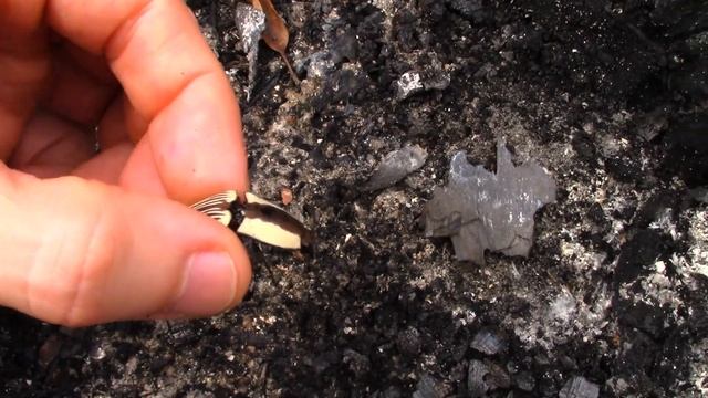 Vixia RF800 Macro смотреть онлайн