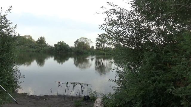 Ловля карпа в августе\Горох рулит\Рыбалка с ночевкой\ смотреть онлайн