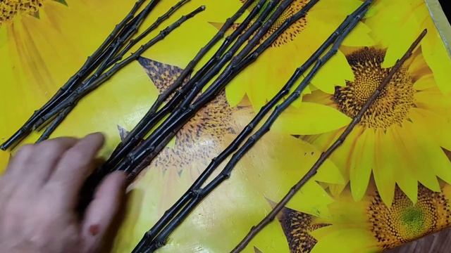 Как и когда заготавливать черенки для прививки. смотреть онлайн