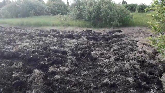 Мотоблок против целины 2 смотреть онлайн