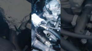 Стелс Викинг замена масла!!!очень просто!!!