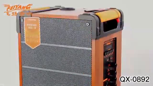 Скоро‼️ комбоусилитель #караоке #Feyang QX-0892 от #Temeisheng смотреть онлайн