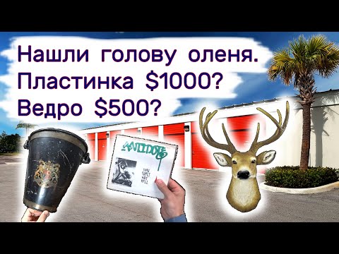 Нашли голову оленя. Ведро $500_ Пластинка за $1000_ Находки в брошенных складах. смотреть онлайн