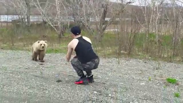 Мишка косолапый смотреть онлайн