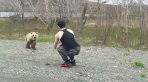 Мишка косолапый