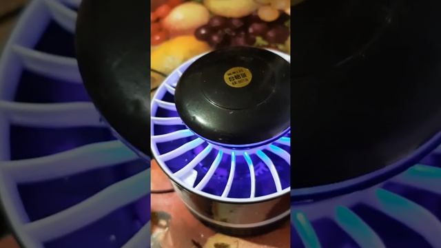 Лампа убийца от комаров. смотреть онлайн