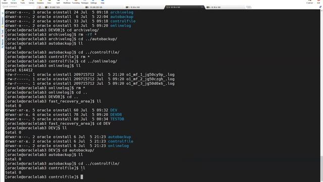 RMAN Restore & Recover Vs RMAN Clone - RMAN Restore and Clone differences || RMAN Clone Advantages смотреть онлайн