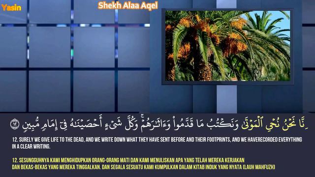 Al-kahfi, al-waqi'ah, yasin, al-mulk, ad-dukhan, as-syaffat, al-jinn, al-zalzalah, al-ikhlas смотреть онлайн