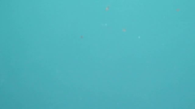 листики на реке ниже водопада Манавгат MVI 0044 смотреть онлайн