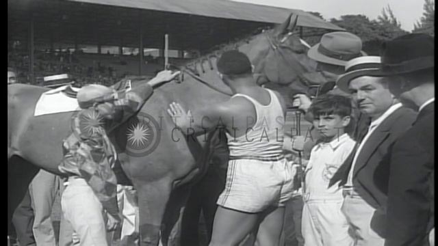 US Olympic champion runner, Jesse Owens, wins race against race horse in Cuba HD Stock Footage смотреть онлайн