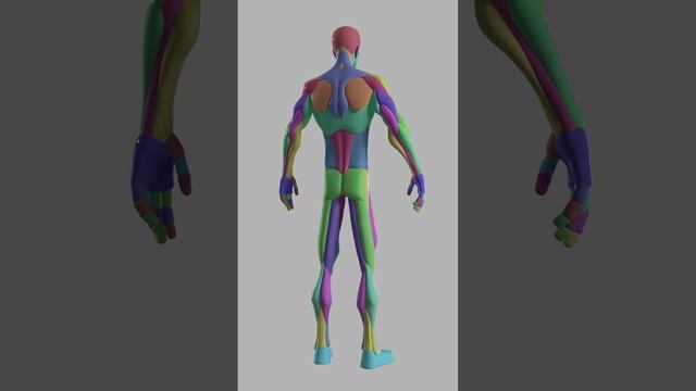 #Character #Anatomy #D3mtt #3d #3dModel #3dModelling #3dArtist  #3д #3дМодель #3дМоделирование