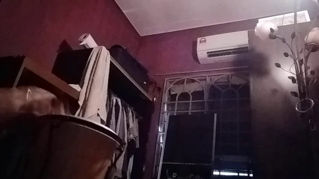 bongo mongo смотреть онлайн