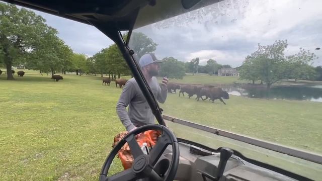 Dunbar Meets Hoss For The First Time! смотреть онлайн