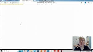 Скачал читы на некст РП