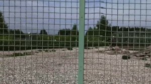 Ярославский зоопарк