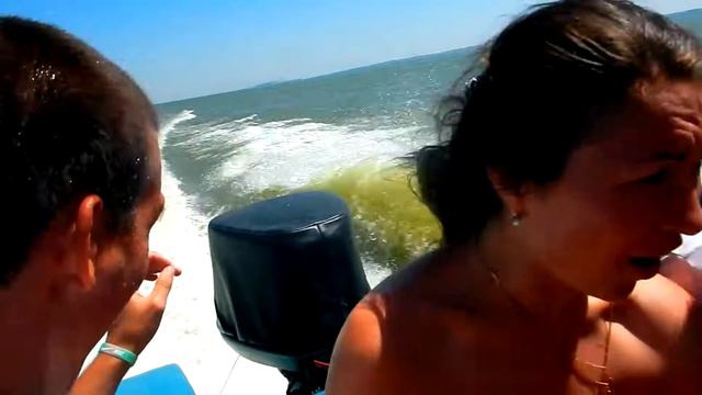 Наша стая! Море волнуется! смотреть онлайн